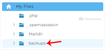 directadmin-click-backupsfldr.gif