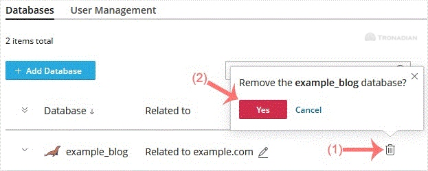 plesk-remove-database-final.gif