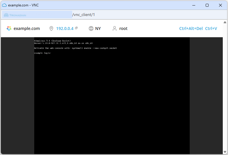 solusvm2-vnc-area.gif
